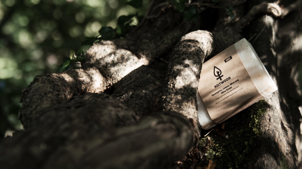 What Is the Healthiest Soap: A Guide for Men Seeking Effective, Natural Cleansing - Hiltwood