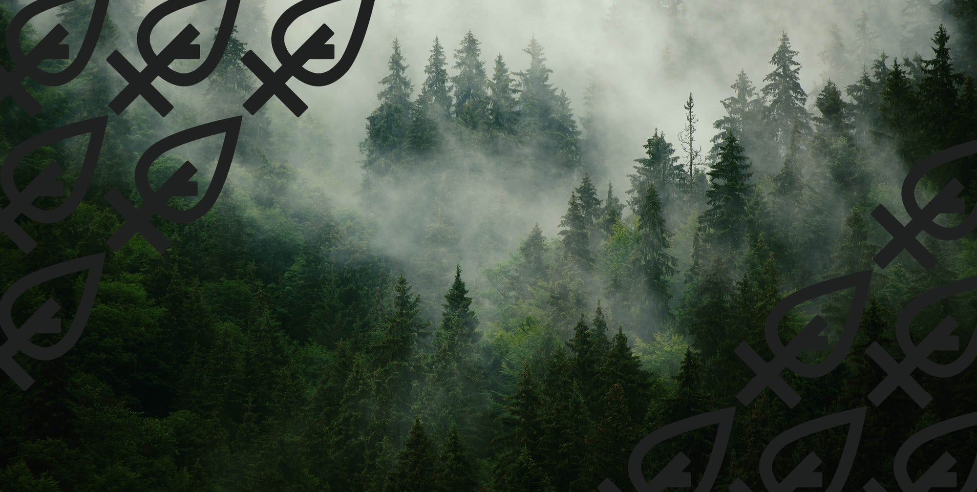 natural soap for men